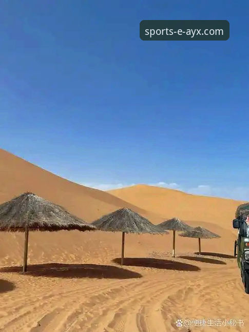 资深用户分享：在ayx体育平台追踪“沙漠大满贯”的曲折与期待